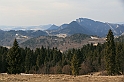 IMG_1936