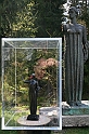 IMG_2701