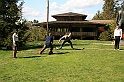 IMG_2716