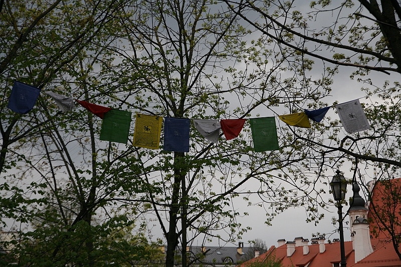IMG_3371