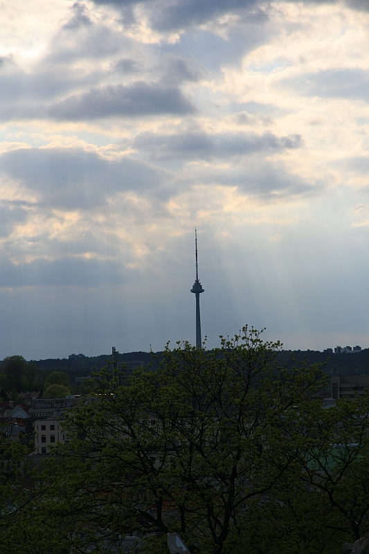 IMG_3426