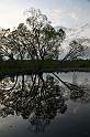 IMG_3740
