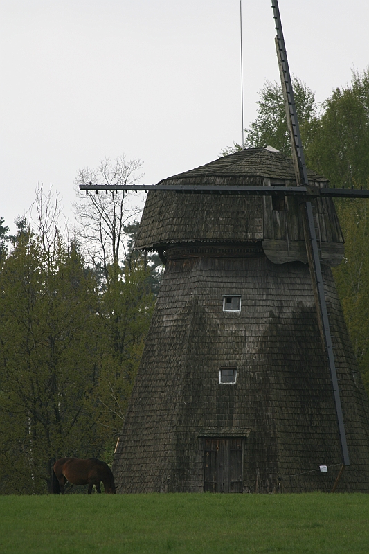 IMG_3851