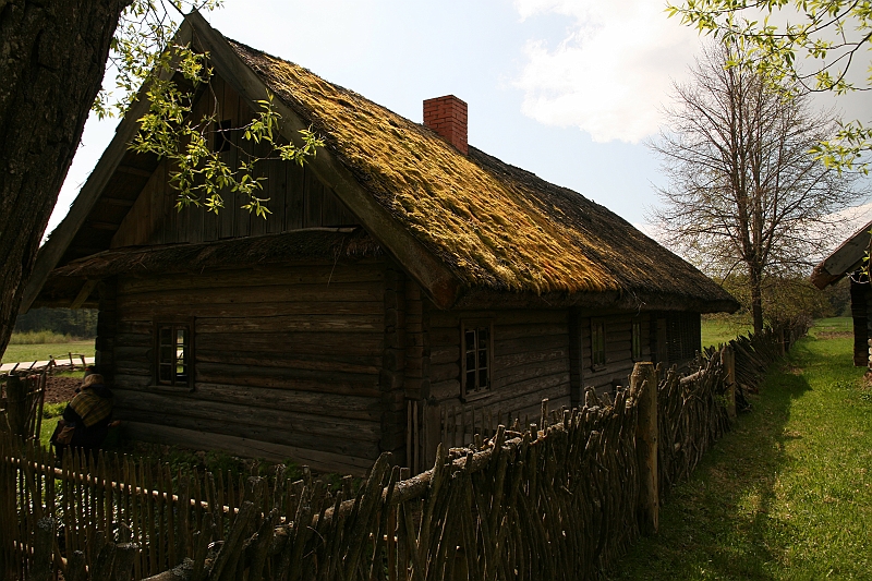 IMG_3954