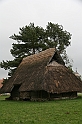 IMG_3800