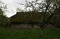 IMG_3854