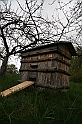 IMG_3876