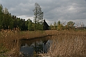 IMG_3973