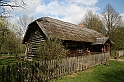 IMG_3981