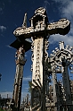 IMG_4486
