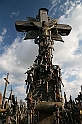 IMG_4494