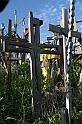 IMG_4504