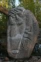 IMG_4533