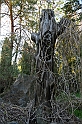 IMG_4544