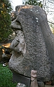 IMG_4545