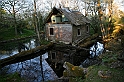 IMG_4547