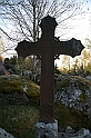 IMG_4568