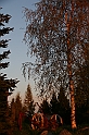 IMG_4587
