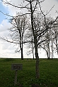 IMG_4354