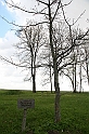 IMG_4355