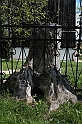IMG_4420