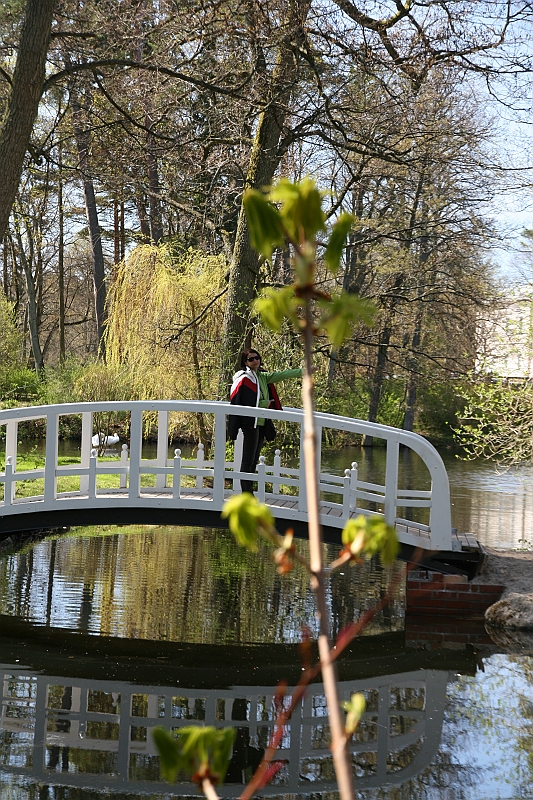 IMG_4637