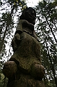 IMG_4732