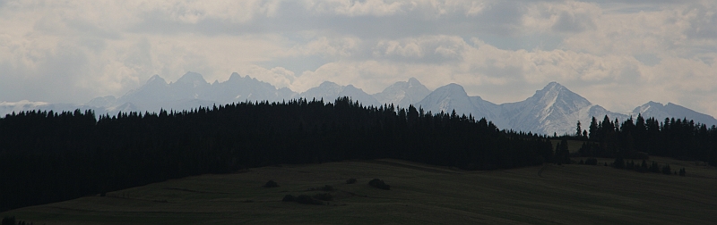IMG_2365