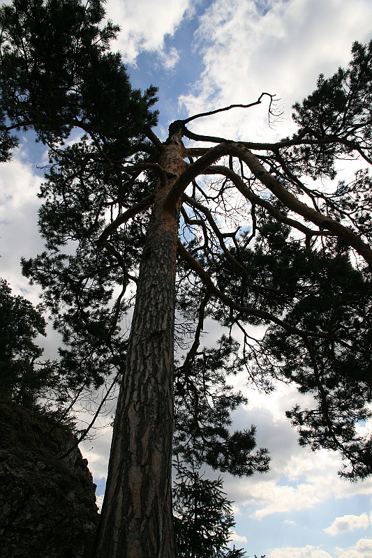 IMG_2376