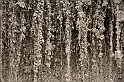 IMG_2415