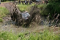 IMG_4187