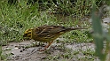 IMG_4512