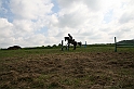 IMG_8538