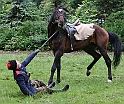IMG_8771