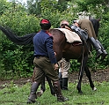 IMG_8774
