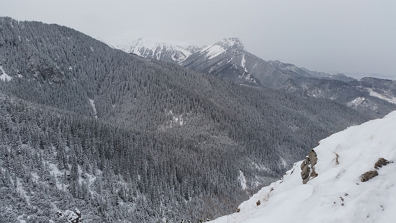20141228_082630