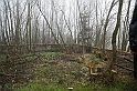 IMG_0889
