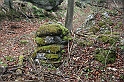 IMG_1055