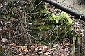 IMG_1060