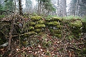 IMG_1062