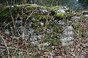 IMG_1068