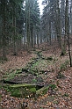 IMG_1077