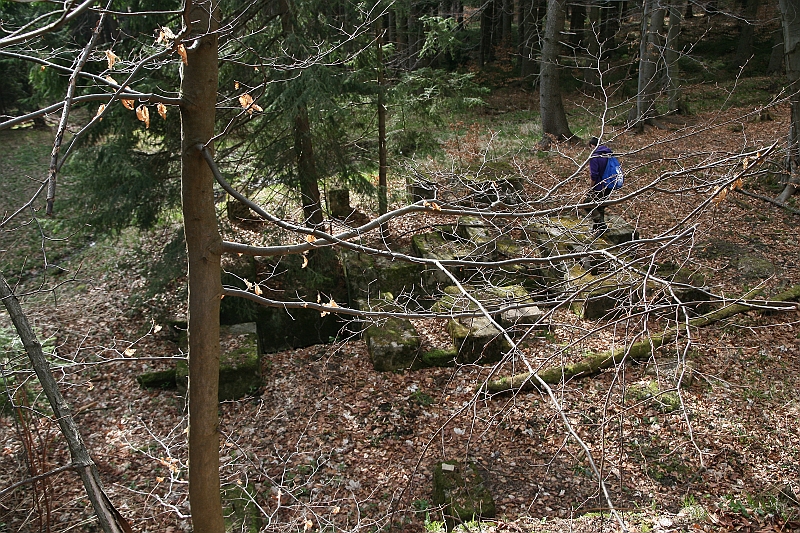 IMG_1127