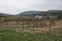 IMG_1088