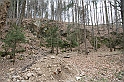 IMG_1114