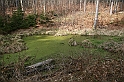IMG_1123
