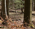 IMG_1130