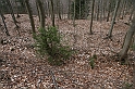 IMG_1134