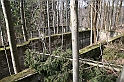 IMG_1137