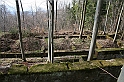 IMG_1138